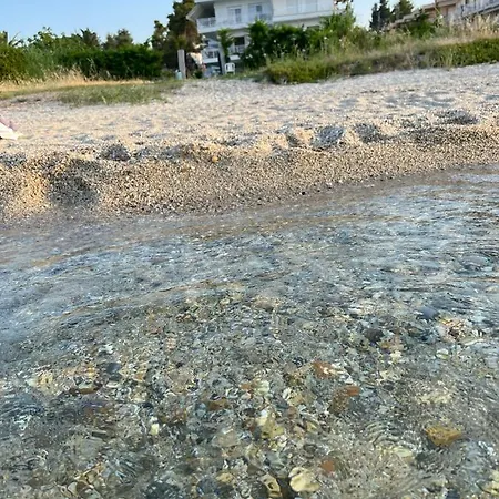 Next To The House Agni